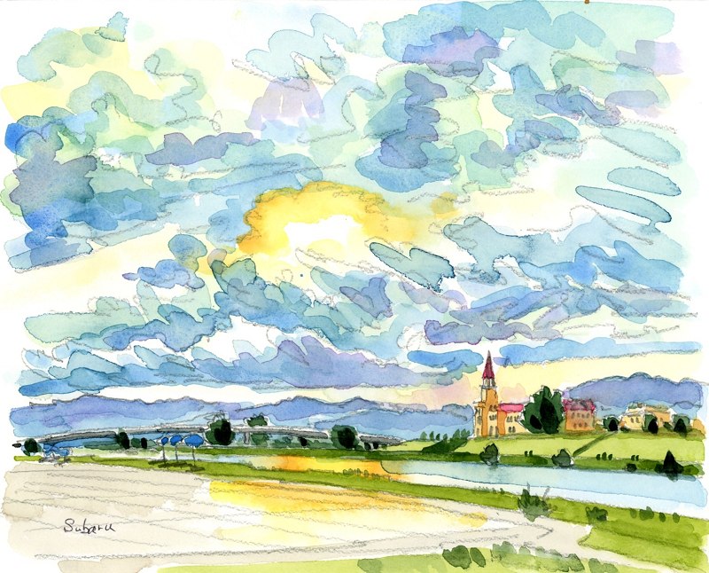 【真作】掛軸　酒川哲保　石蕗（つわぶき）と詩　彩色画賛　合箱入　S103 真作】掛軸 酒川哲保 石蕗（つわぶき）と詩 彩色画賛 合箱入 S103